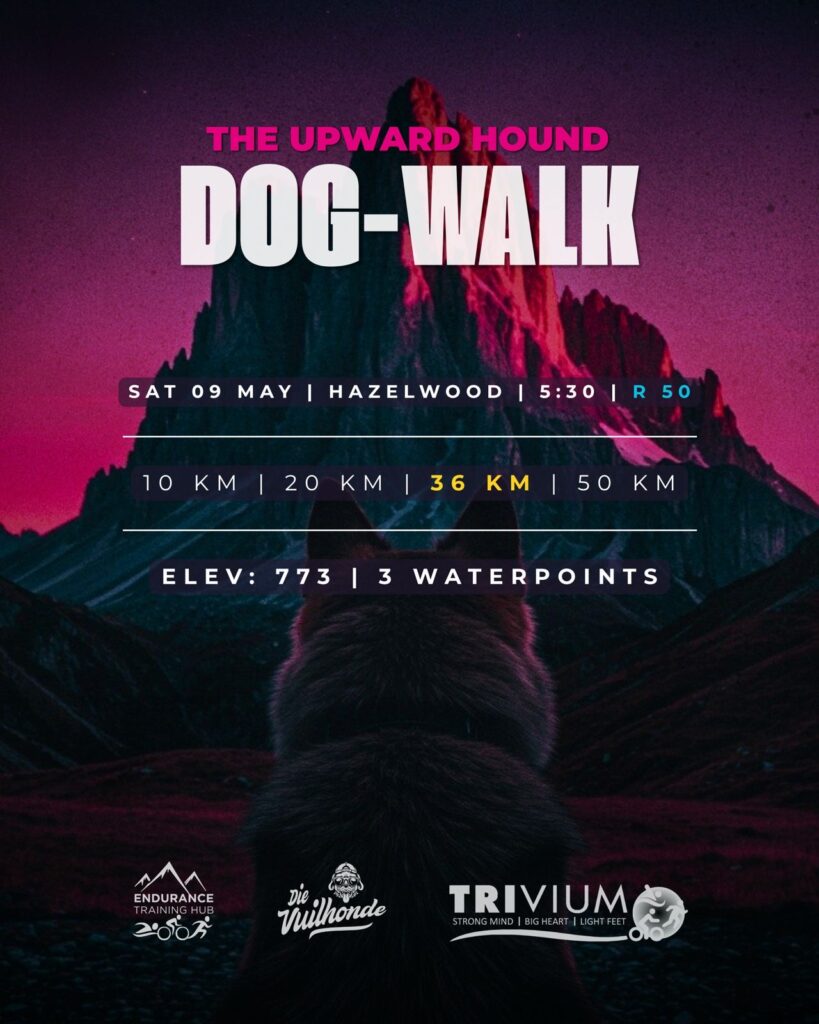 3fd6af1d-c22d-4c0f-ac13-0c7ac5b2a237